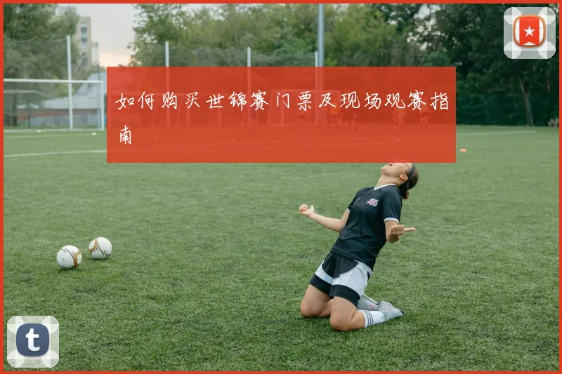 如何购买世锦赛门票及现场观赛指南
